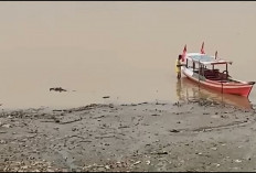 Dampak Kemarau, Ketinggian Air Sungai Batanghari Surut hingga 7,43 Meter 
