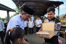 Bupati Tanjab Barat Imbau Warga Waspada Kebakaran, Pastikan Listrik dan Kompor Dimatikan  