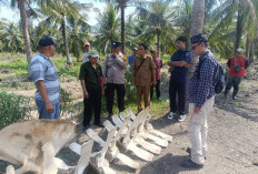 Pemkab Tanjab Barat Amankan Temuan Tulang yang Diduga Biota Laut