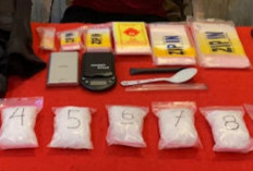 Tergiur Upah Rp8 Juta, Satres Narkoba Polresta Jambi Ringkus Pengedar Sabu