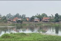 Warga Masih Gunakan Air Danau Sipin, Kondisi Air Jadi Sorotan