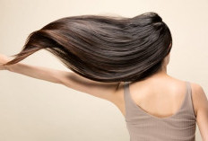 7 Rekomendasi Shampo untuk Rambut Kering yang Efektif Melembapkan
