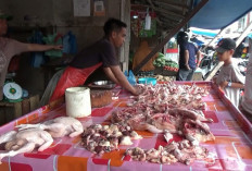 Harga Ayam Potong di Kuala Tungkal Turun Menjadi Rp33 Ribu per Kilogram