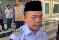 Wah 6.438 PPPK Paruh Waktu di Jambi Akan Dapat THR 1 juta  Dari Pemrov