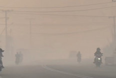 Ribuan Hotspot Karhutla Kalimantan Picu Kabut Asap Pekat, Kualitas Udara Pontianak Terburuk se-Indonesia