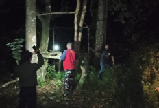 Satresnarkoba Polres Tanjab Barat Amankan Terduga Penyalahguna Sabu di Betara, Satu DPO Masih Diburu