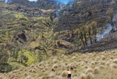 Ancaman Kebakaran Bromo: Puncak Seruni Point Ditutup Sementara Mulai Rabu Malam