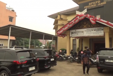 Pemutihan Pajak Jambi Berakhir, Rp48,2 Miliar Terkumpul tetapi Belum Capai Target