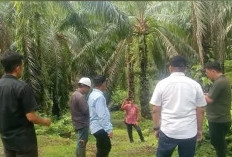 Manajemen PTPN IV Regional IV Pastikan Jaga Keseimbangan Alam