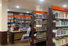 Mahasiswa Jadi Pengunjung Terbanyak, Perpustakaan Provinsi Jambi Tetap Diminati