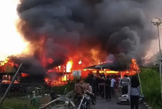 Api Mengamuk di Nipah Panjang, Sejumlah Rumah Warga Hangus Terbakar