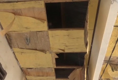 Siswa SD Negeri 124 Muaro Jambi Belum Merdeka dari Sekolah Rusak  