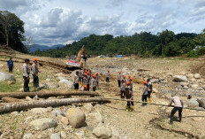 Pulihkan Akses Warga, Brimob Jambi Bangun Jembatan Darurat Antar Desa Kampung Tengah Timur dan Padang Landua