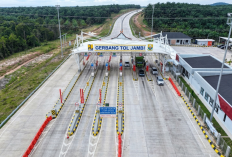 Pemprov Jambi Dikebut Pembebasan Lahan Tol Jambi-Rengat, Targetkan Konstruksi Fisik Dimulai Januari 2027