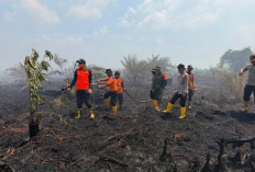 Kebakaran Hutan dan Lahan Meluas, 8 Kabupaten di Jambi Tetapkan Status Siaga Darurat