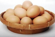 Mitos atau Fakta? Telur Disebut Penyebab Bisul, Ini Penjelasan Medisnya