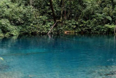 Keindahan Danau Kaco, Permata Biru dari Desa Lempur Kerinci