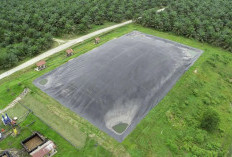 Dua PLTBg Ini Jadi Andalan PalmCo Tekan Biaya Energi di Tengah Gejolak Global