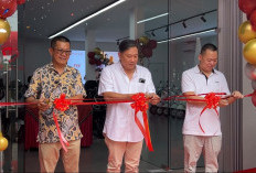 TAILG Resmi Hadir di Jambi, Tawarkan Solusi Hemat Energi dan Promo Grand Opening Menarik