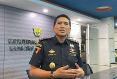 Ekspor Pinang Jambi Dikembalikan, Bea Cukai Jelaskan Mekanisme Reimpor 