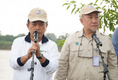 Staf Ahli Menteri Lingkungan Hidup Nyatakan Jambi Jadi Contoh Gerakan Tanam Pohon Serentak