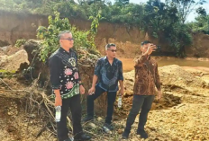 Aset Tanah Pemkab Merangin Digarap OTK untuk Tambang Emas Ilegal, 1,5 Hektare Rusak  