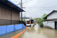 Banjir Rendam Ratusan Rumah di Sumbar, Kementerian PU Siapkan Penanganan Jangka Panjang