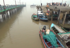 Dampak Kabut Asap, Pendapatan Agen Pelayaran Speedboat di Kuala Tungkal Turun 30 Persen