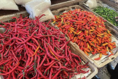 Harga Bahan Pokok 01 April 2026, Cabai Turun, Bawang Stabil