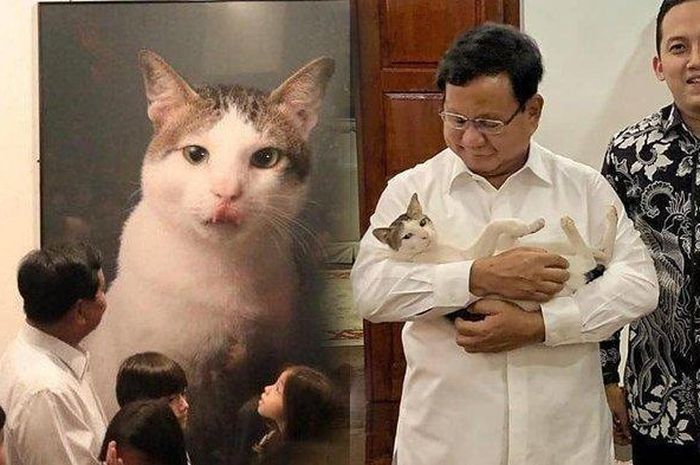 Kucing Kesayangan Prabowo Punya Akun Instagram, Corbuzier: Anda Kayak Millenial Alay