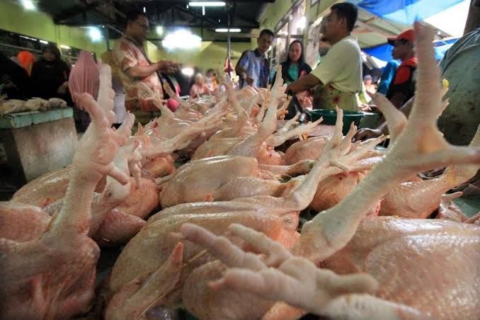 Harga Ayam Potong Berangsur Turun Hingga Rp 28.000 Per Kilo Gram