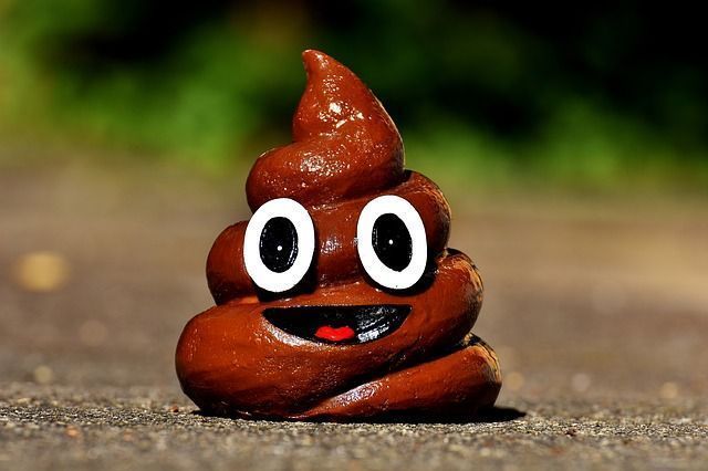 Poop Anda Berminyak? Segera ke Dokter