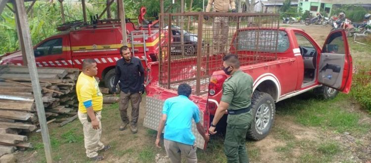 Masyarakat Selampaung Kerinci Resah Adanya Harimau Berkeliaran