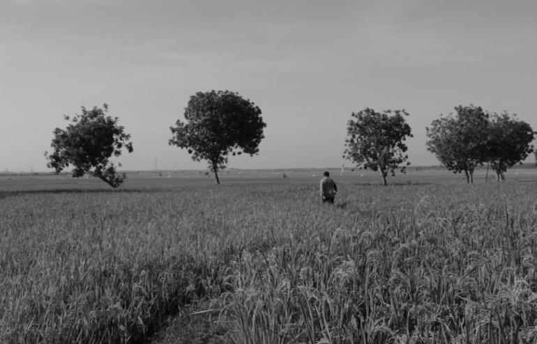 Paradoks Undang-undang Cipta Kerja dan  Dampaknya terhadap Bidang Agraria: Apakah Hukum Sudah Dipolitisasi?