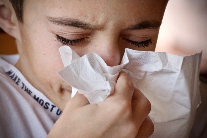 Anda Flu Berat, Minum Madu-Jahe  