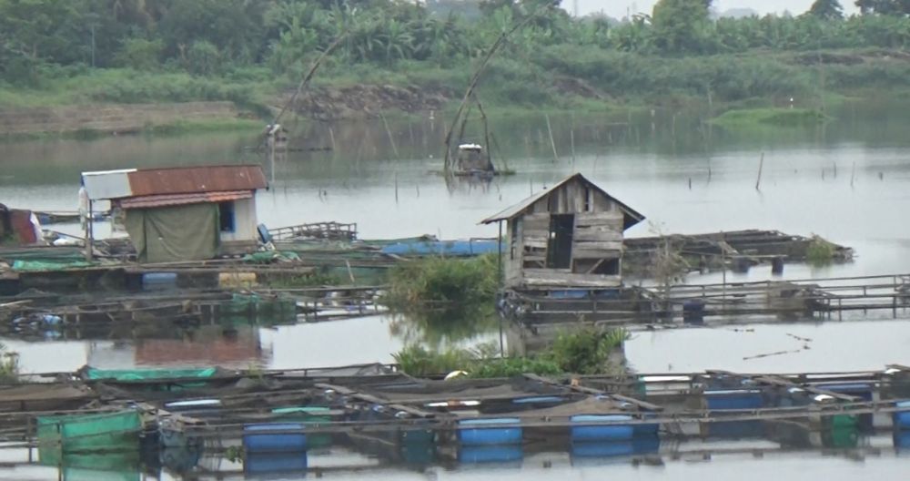 Kerambah Petani Ikan Danau Sipin Akan Dilelang