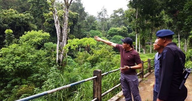 PTPN Buka Rekrutmen Karyawan, Berikut Jurusan yang Dicari