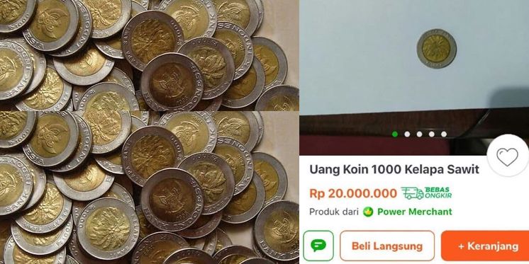 Viral!!! Uang Koin Kelapa Sawit Pecahan Rp 1000 Dihargai Rp 20 Juta