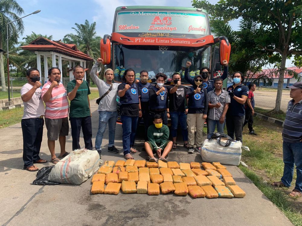 BNNP Jambi Gagalkan Penyelundupan 45 Kg Ganja, Pelaku Kelabui Paket dengan Aroma Ikan Asin