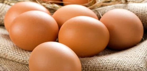 Studi Terbaru : Manfaat Makan Telur Bagi Kesehatan Tubuh dapat Mengurangi Resiko Terjadinya Penyakit Jantung dan Penyakit Kardiovaskular