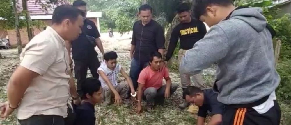 Polisi Gagalkan Penyelundupan Benih Lobster Senilai 1,58 Miliar