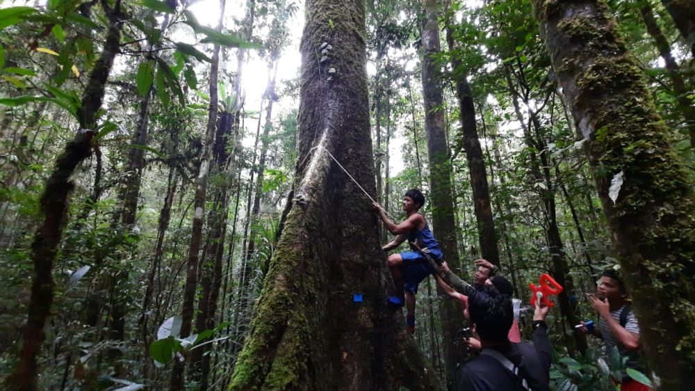 Ikhtiar Bersama Dalam Menjaga Hutan Dan Melestarikan ‘Batobo’ Hutan Sumatera