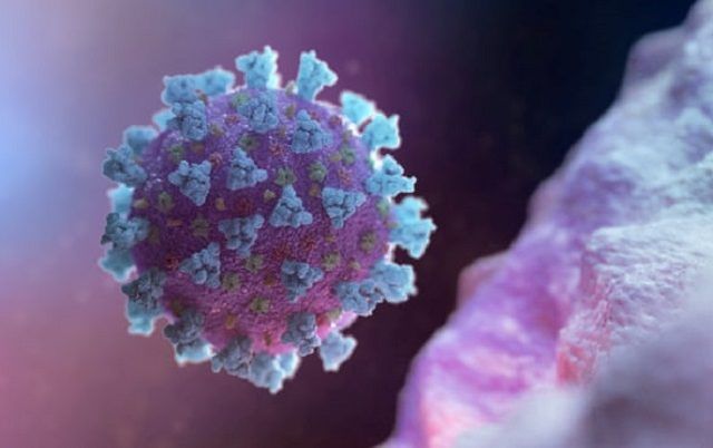 Virus Korona Mungkin Tak Akan Hilang, Bisa Menjadi Endemis Lain