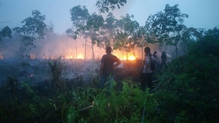 Lahan Sawit Mulai Terbakar