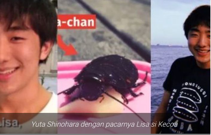 Aneh…! Tak Pandang Logika, Pria Jepang Nekad Pacari Seekor Kecoa