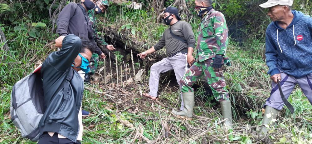 Petani di Kerinci Temukan Pohon Ganja