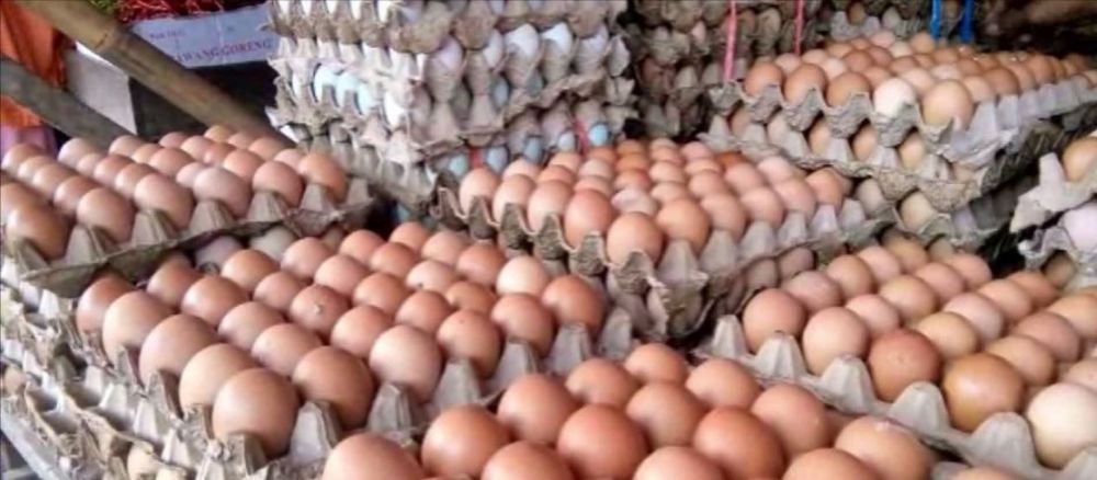 Harga Daging Dan Telur Ayam Di Sarolangun Mahal