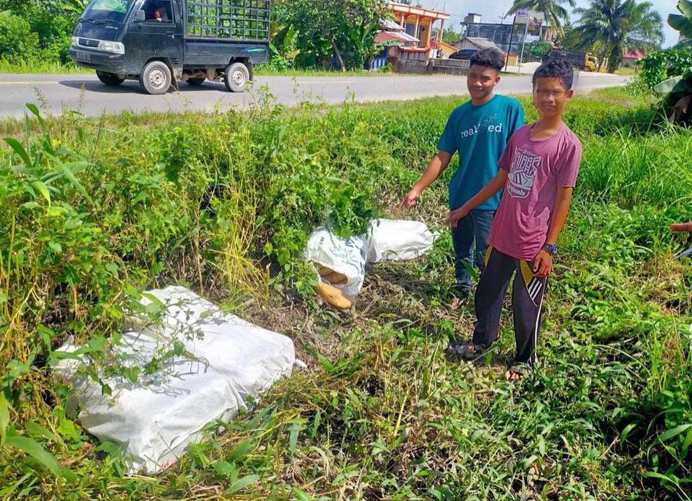 Warga Desa Mentawak Merangin temukan 4 karung ganja di pinggir jalan