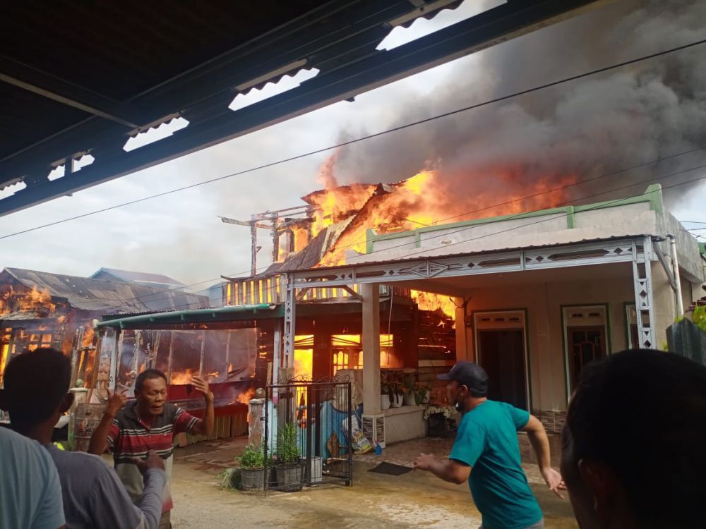 Si Jago Merah Mengamuk Lagi di Kabupaten Tanjung Jabung Barat