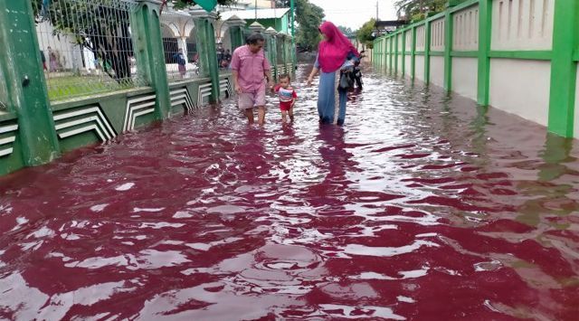 Susi Pudjiastuti Ikut Komentari Banjir Semarang, Semoga Cepat Tertangani